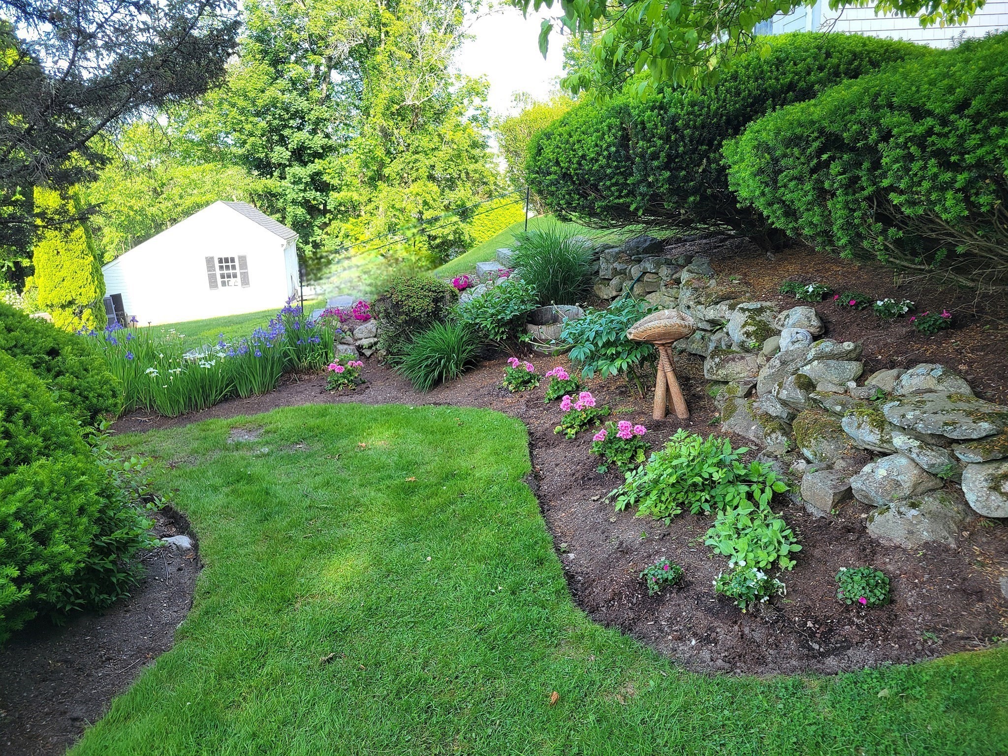 abington - #73387500