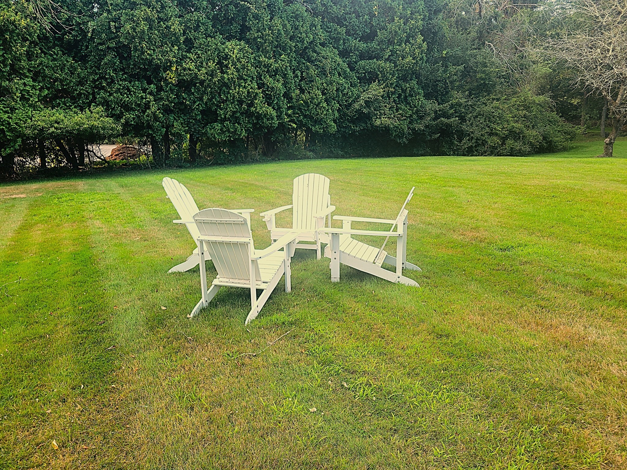 abington - #73387500