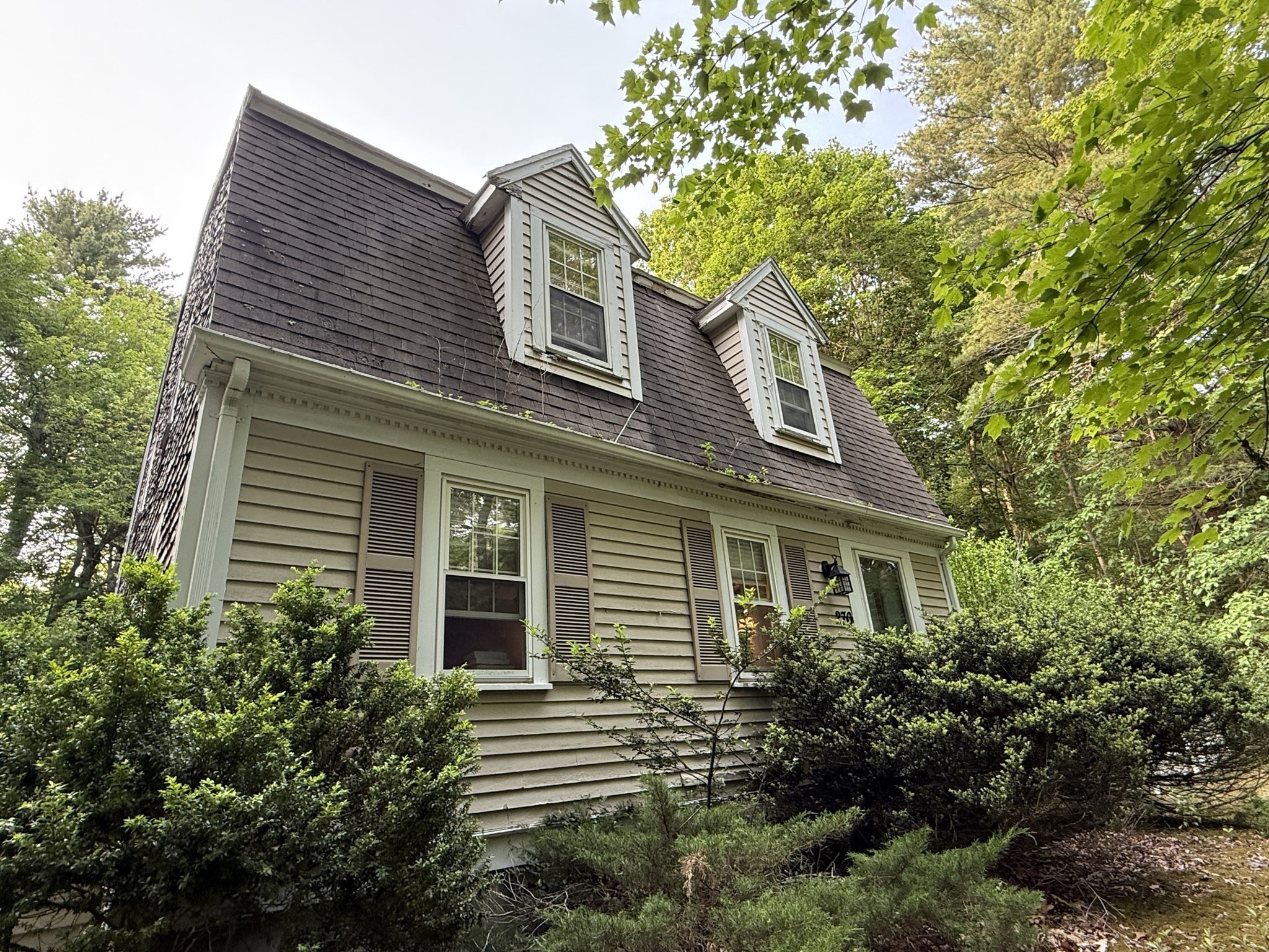marshfield - #73388240