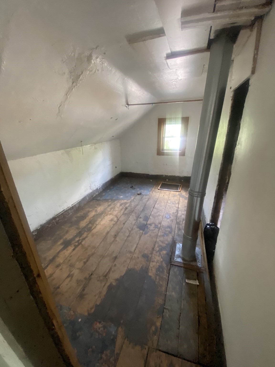 worcester - #73389231