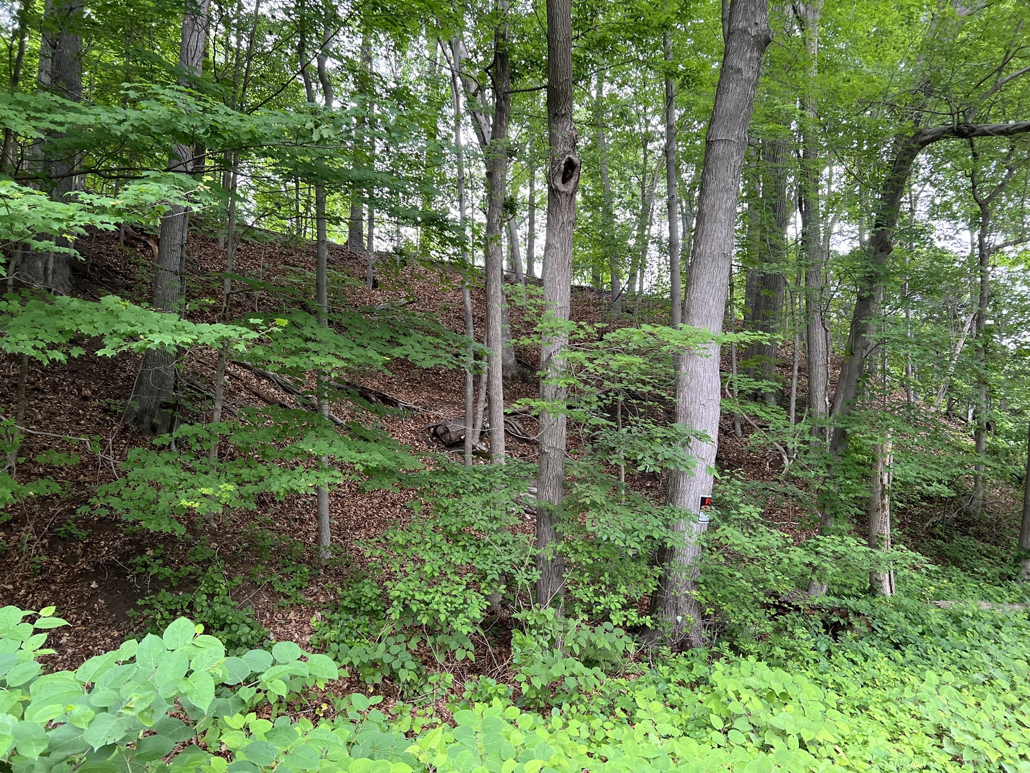 114 Bark Haul Rd, Longmeadow, MA 01106 - Image 3