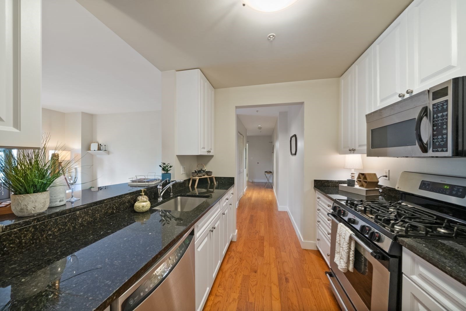 south-end - #73390487