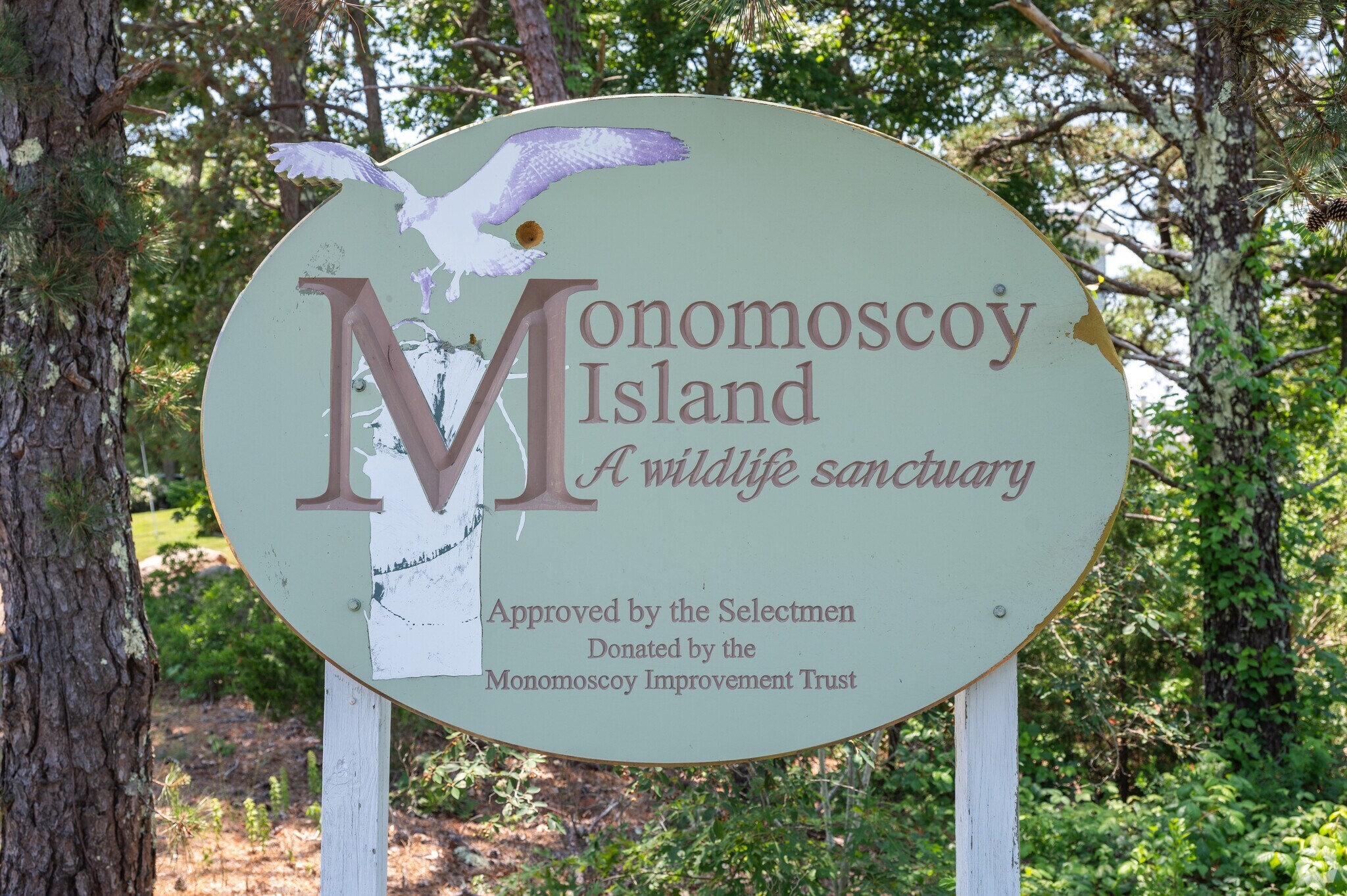 183 Monomoscoy Rd, Mashpee, MA 02649 - Image 1