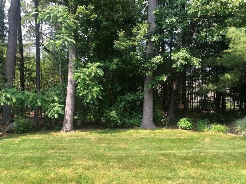 wilbraham - #73391289