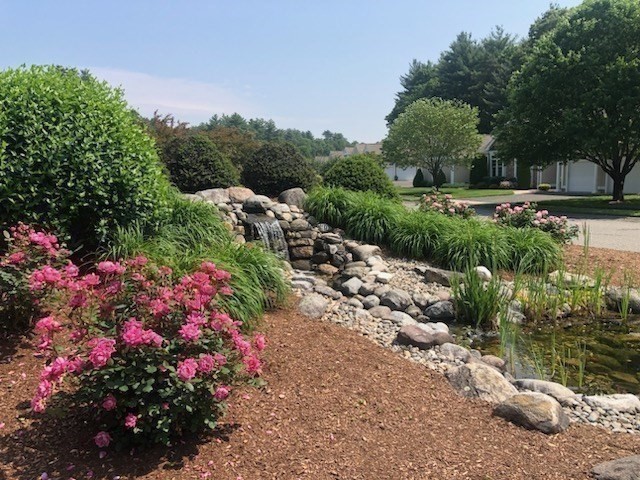 wilbraham - #73391289