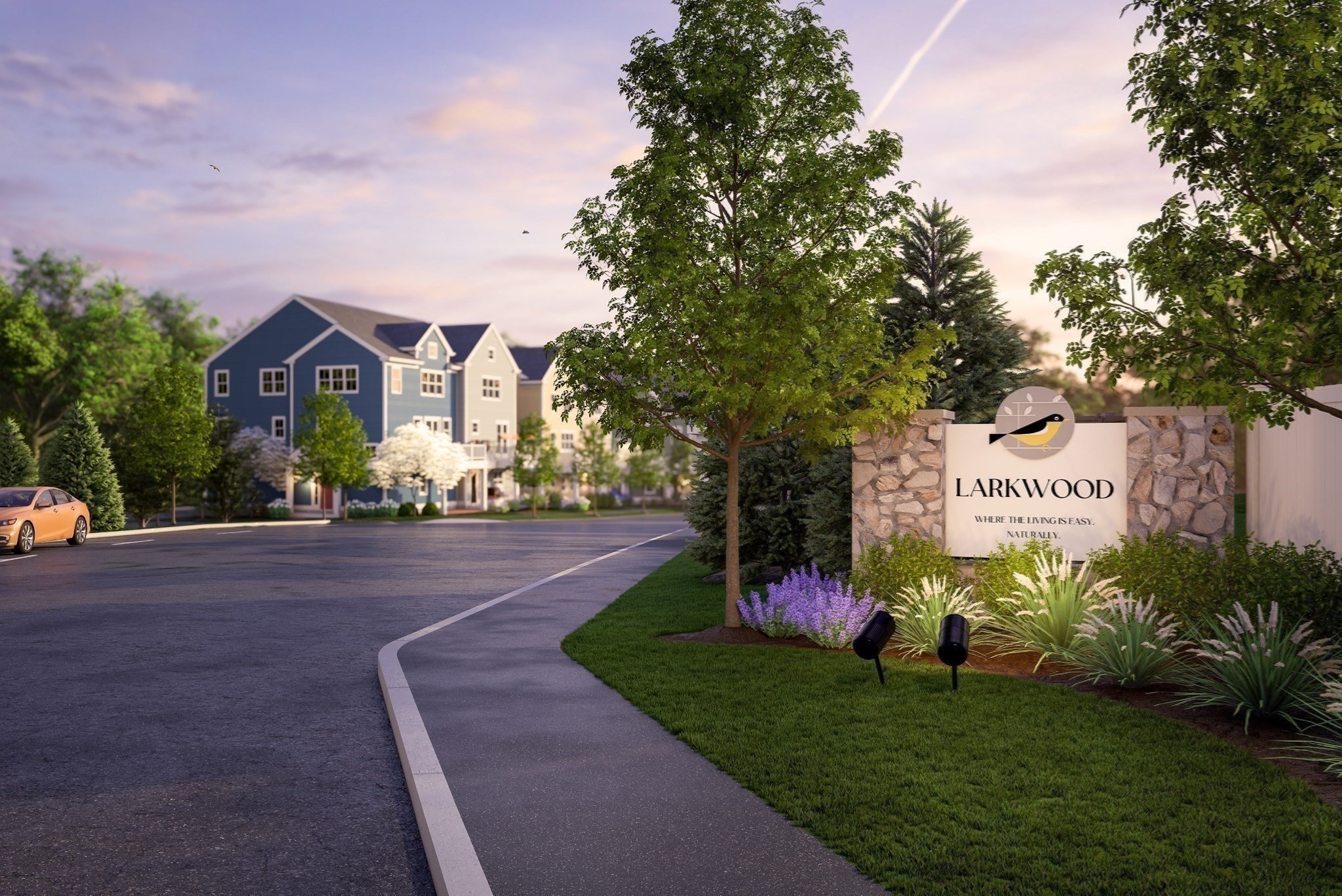 raynham - #73391364