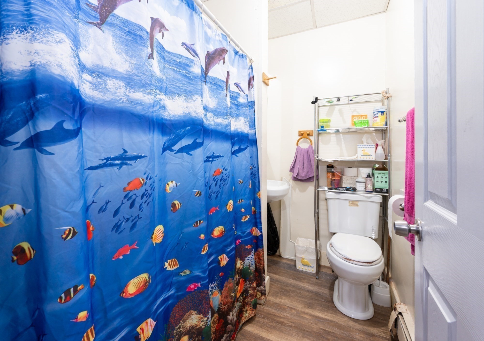 8 Everett St, Somerville, MA 02143 - Image 15