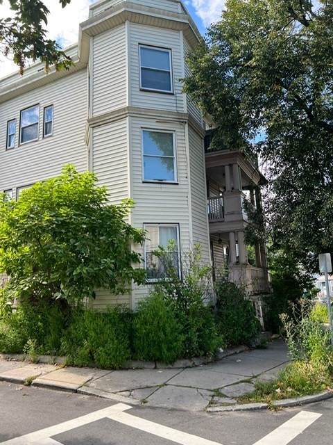lynn - #73391500