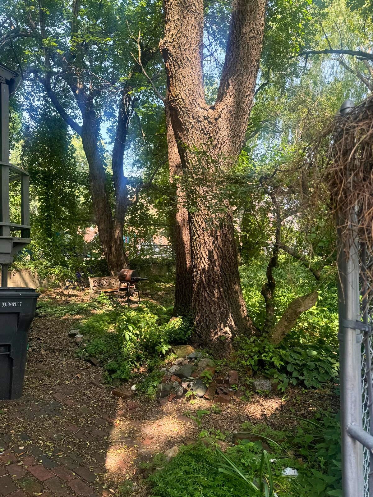 10 Eldridge Pl, Chelsea, MA 02150 - Image 11