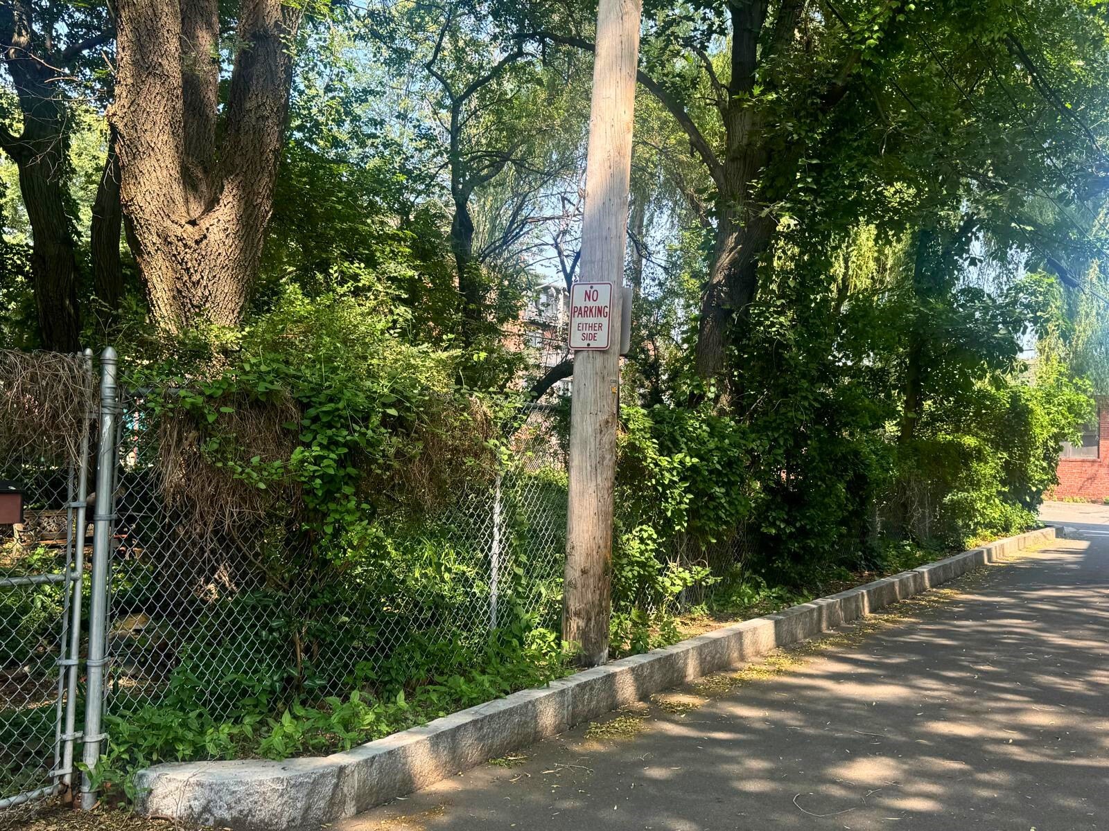 10 Eldridge Pl, Chelsea, MA 02150 - Image 6