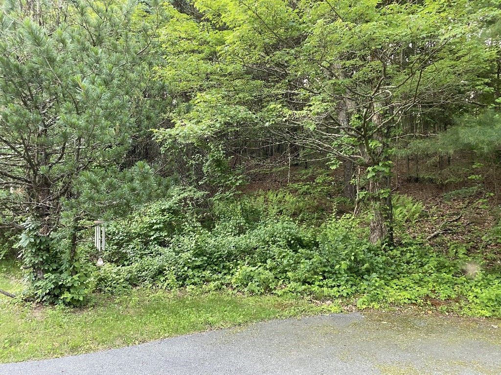 156 Brigham Hill Rd, Grafton, MA 01536 - Image 15