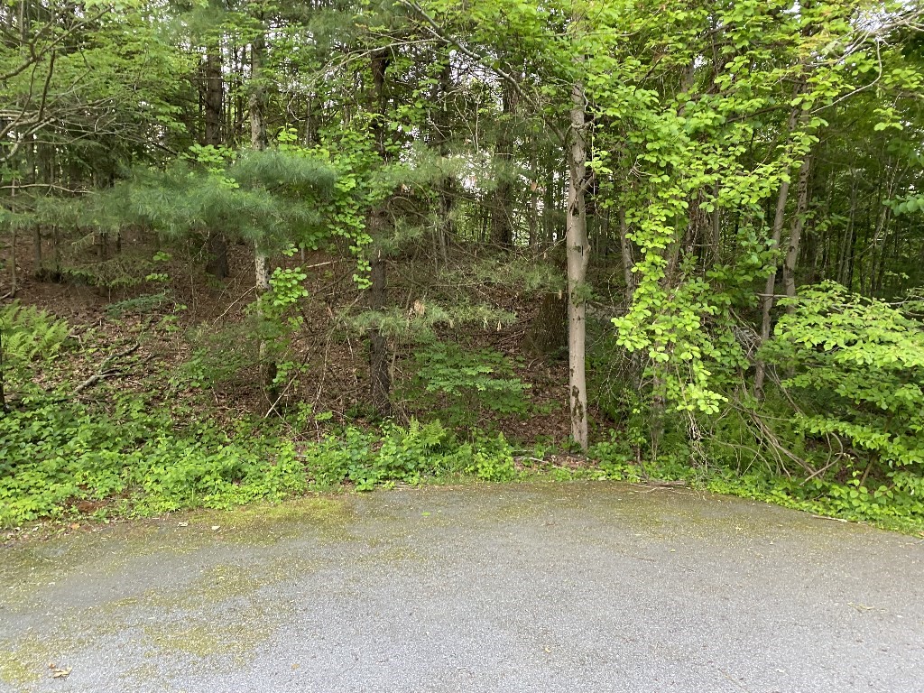 156 Brigham Hill Rd, Grafton, MA 01536 - Image 16