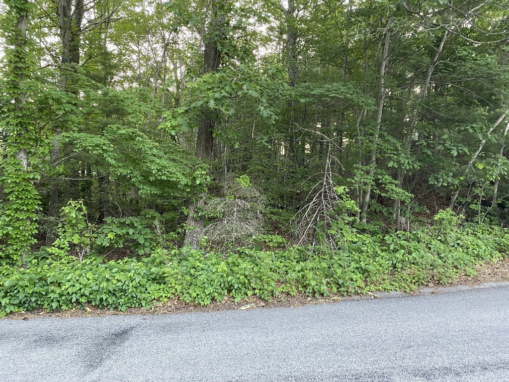 156 Brigham Hill Rd, Grafton, MA 01536 - Image 21