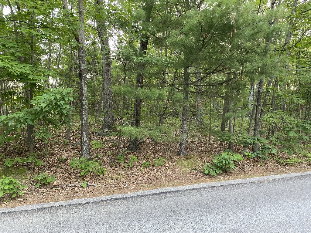 156 Brigham Hill Rd, Grafton, MA 01536 - Image 23