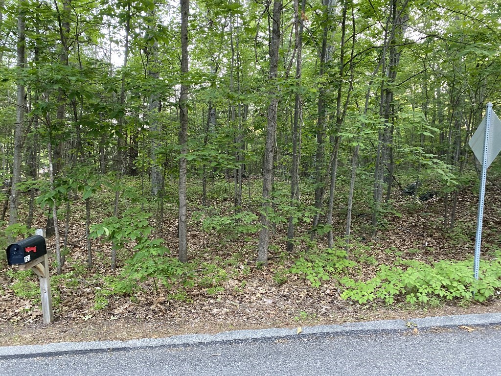 156 Brigham Hill Rd, Grafton, MA 01536 - Image 24