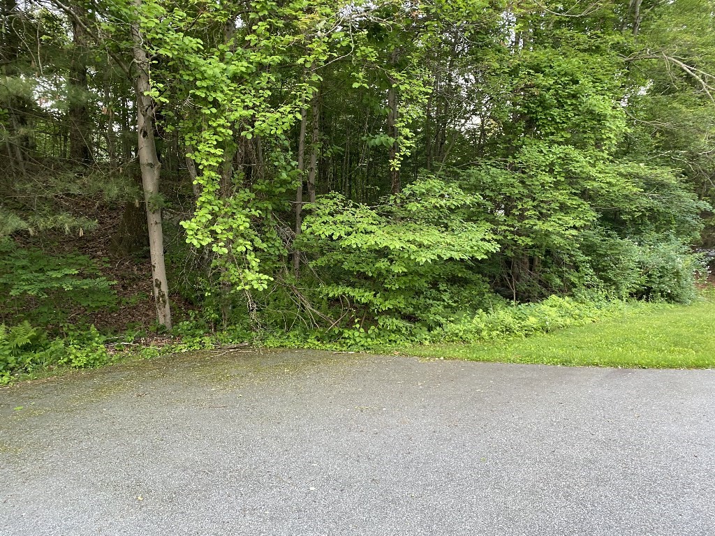 156 Brigham Hill Rd, Grafton, MA 01536 - Image 5