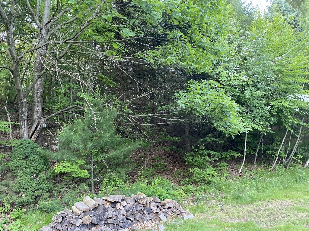 156 Brigham Hill Rd, Grafton, MA 01536 - Image 7