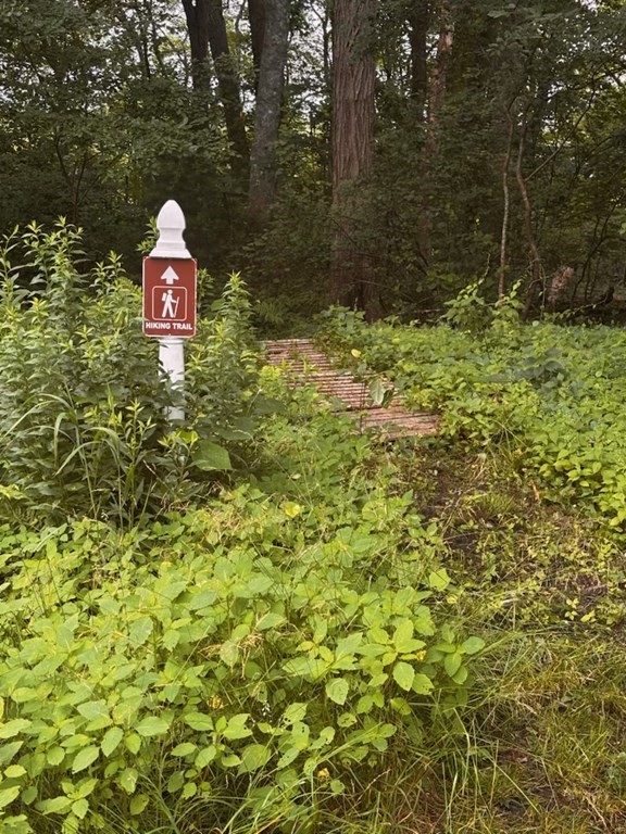 249 High St, Duxbury, MA 02332 - Image 41