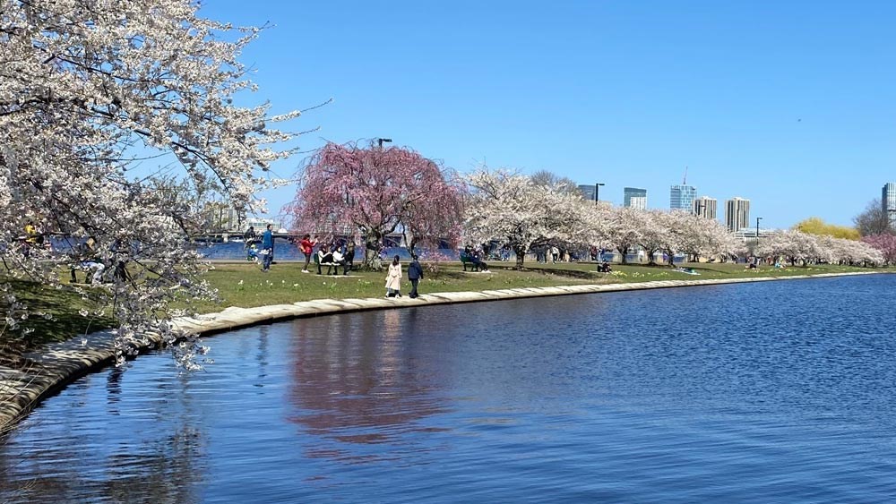 26 Waverly St Unit 410, Lower Allston, Boston, MA 02135 - Image 32