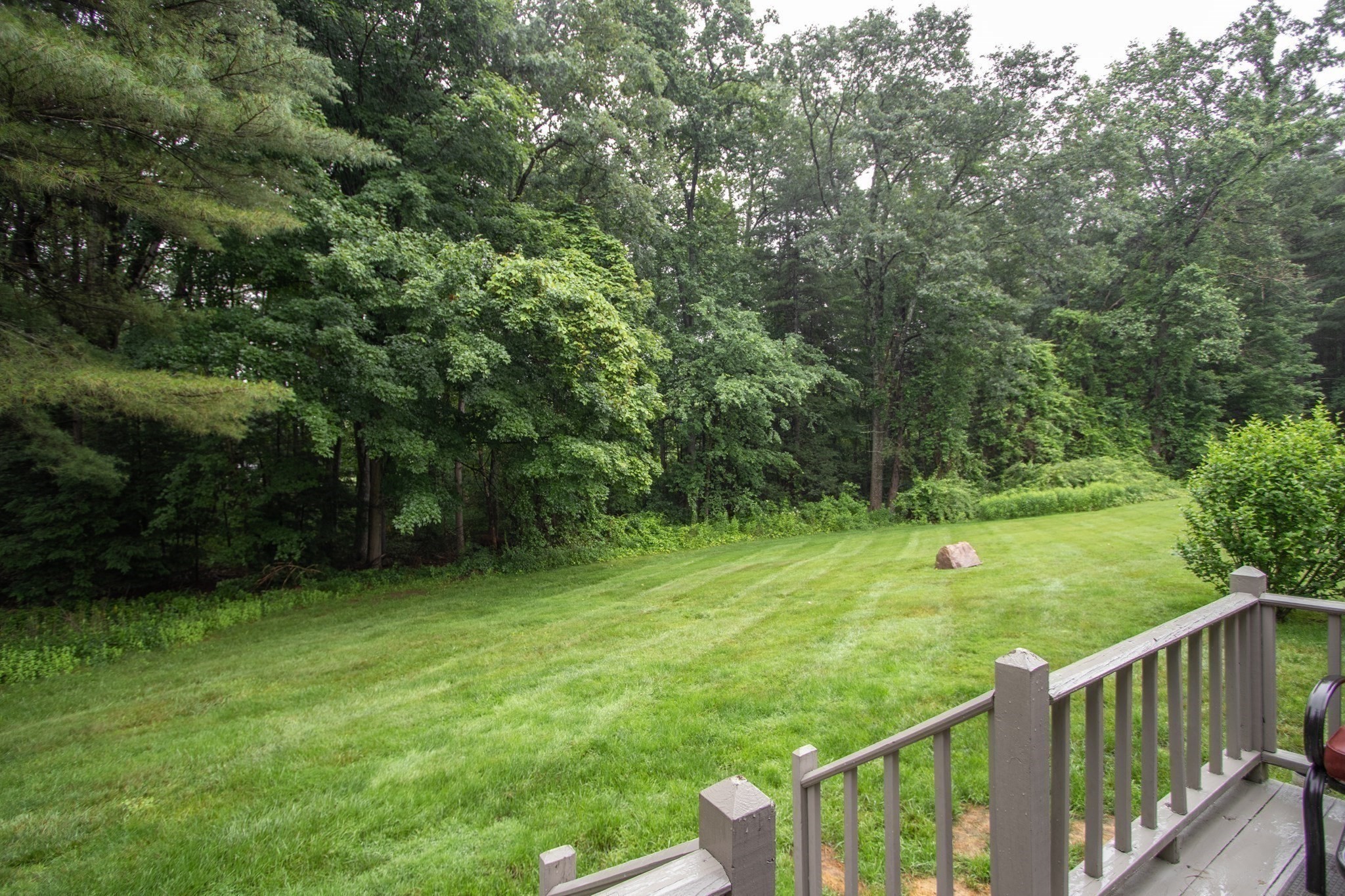 westfield - #73393141
