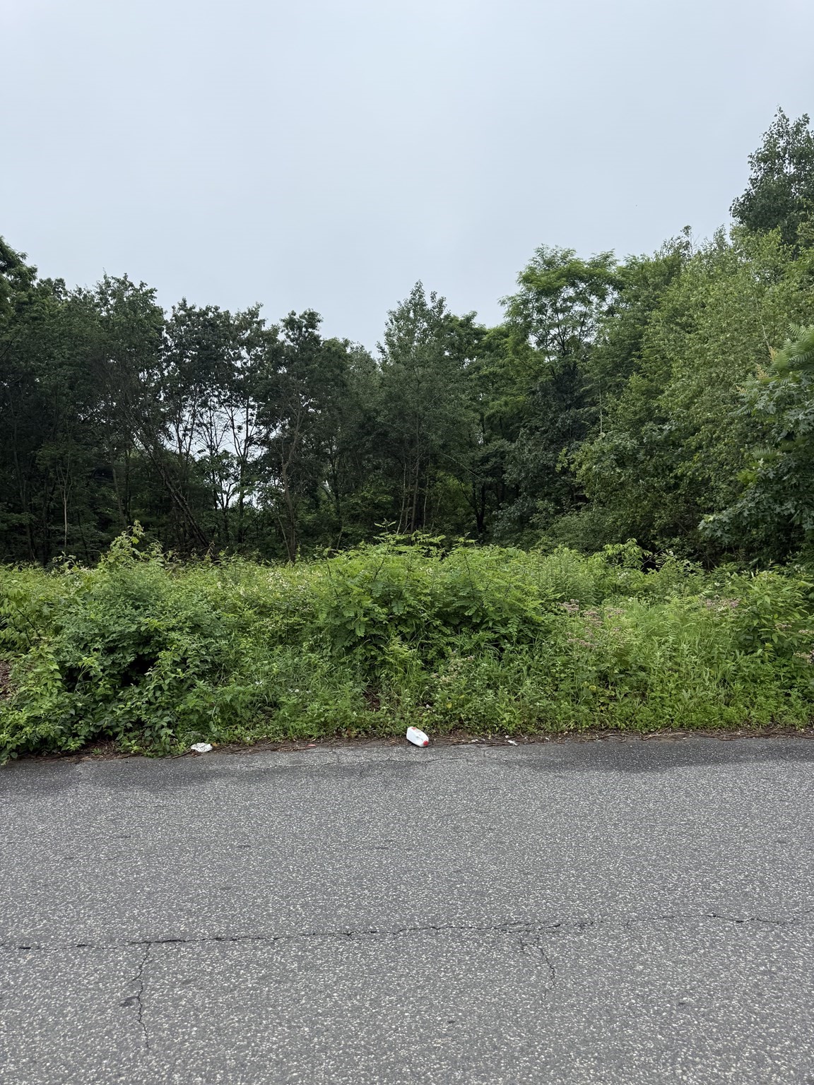  Arnold Ave, Springfield, MA 01119