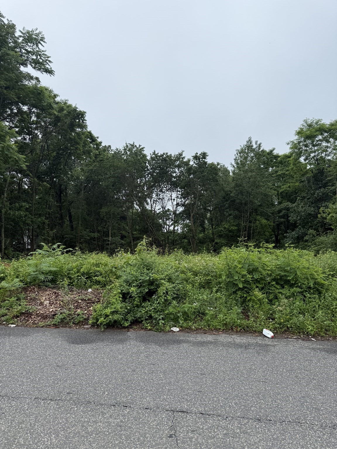  Arnold Ave, Springfield, MA 01119 - Image 3