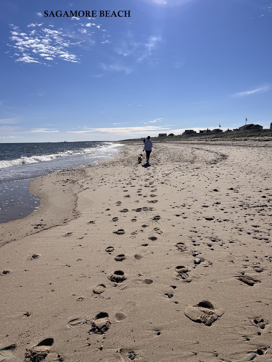 4 Fieldwood Dr, Bourne, MA 02562 - Image 4