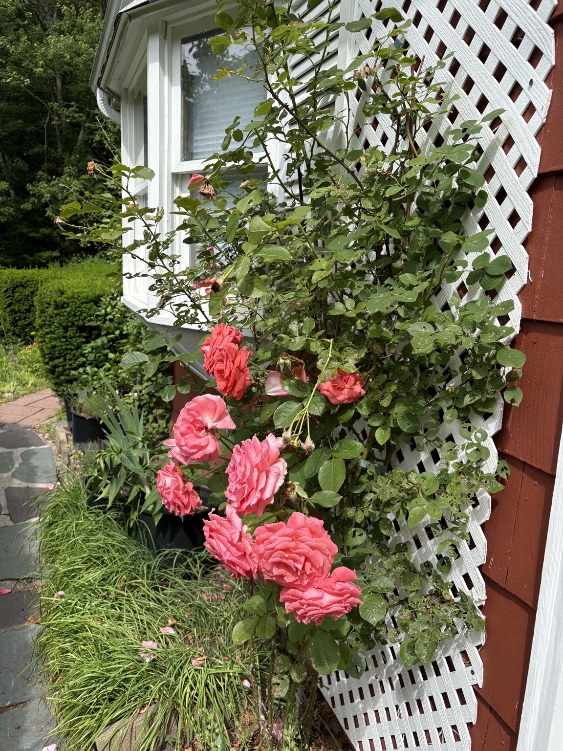 walpole - #73394149