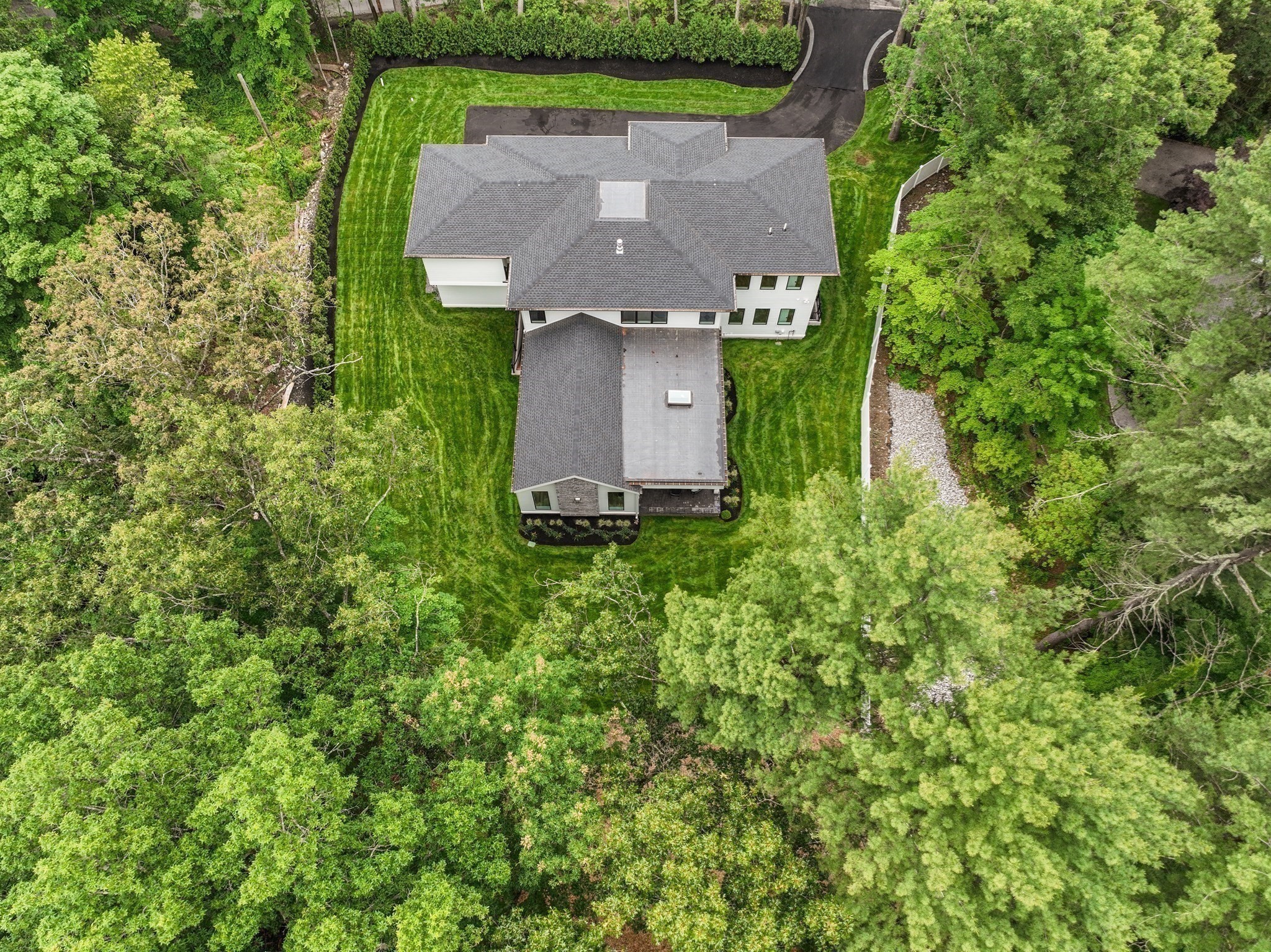 needham - #73394281