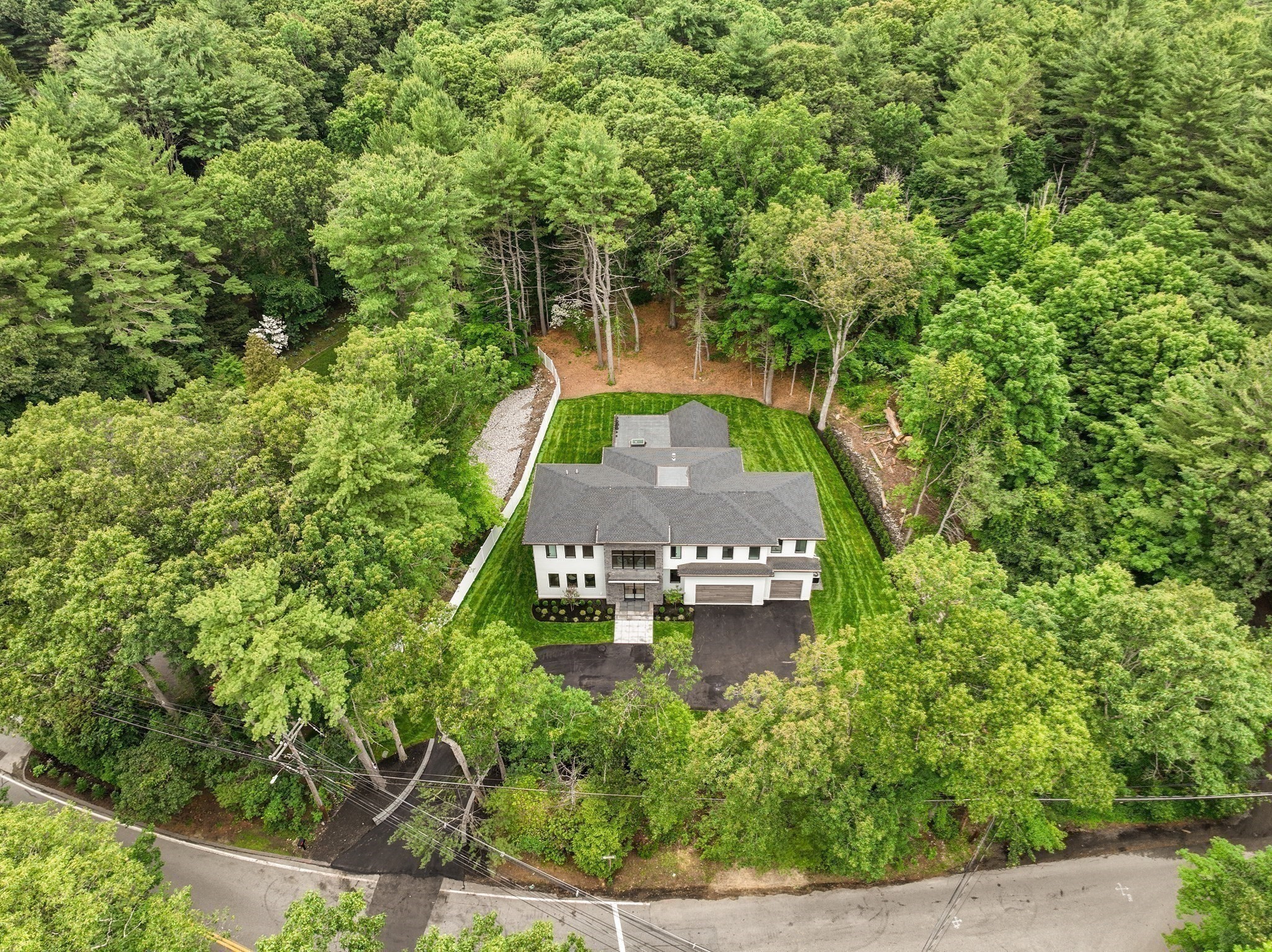 needham - #73394281