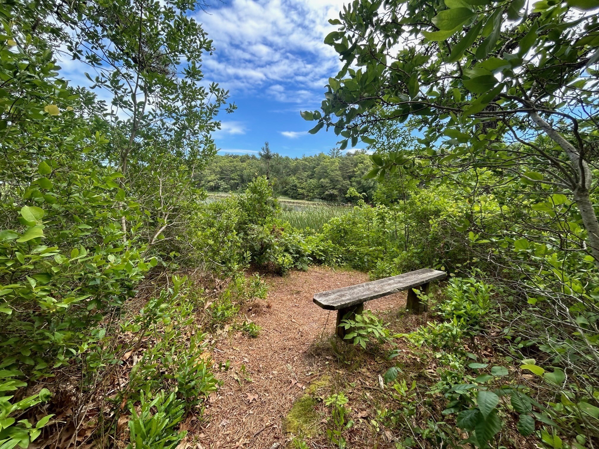 9 North Way, Mashpee, MA 02649 - Image 26