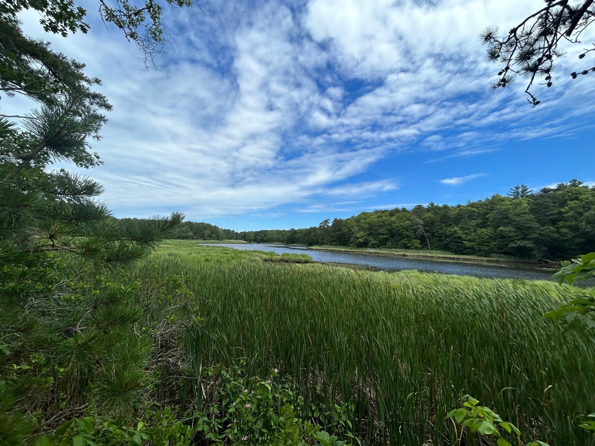 9 North Way, Mashpee, MA 02649 - Image 27