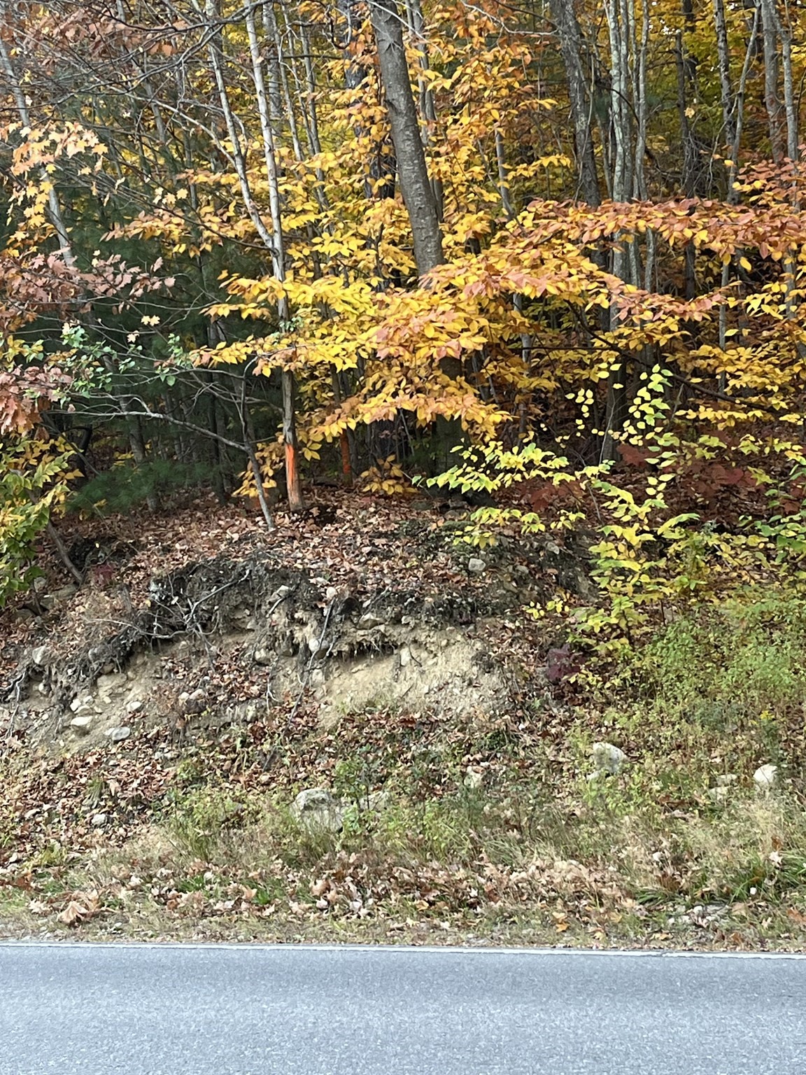 0 Ashby Road, Ashburnham, MA 01430 - Image 6