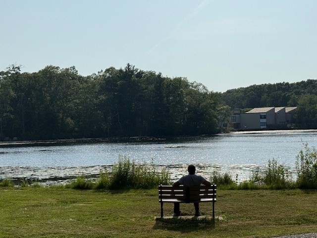 brockton - #73395735