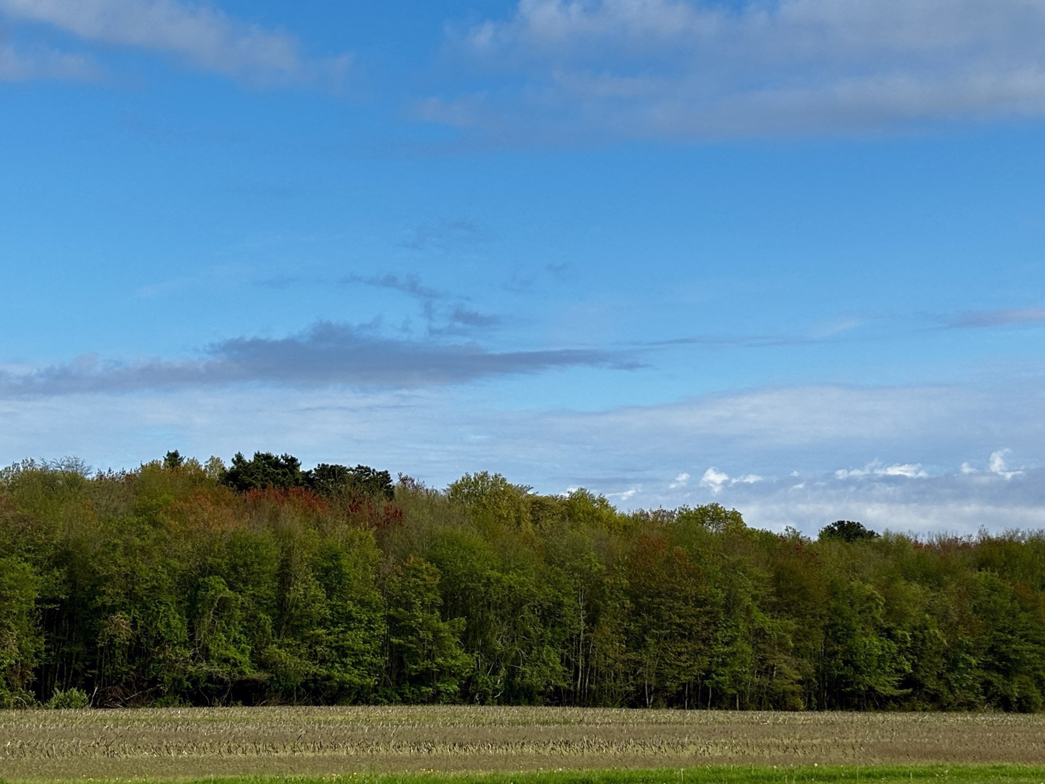 482 Smith Neck Rd, Dartmouth, MA 02748 - Image 3