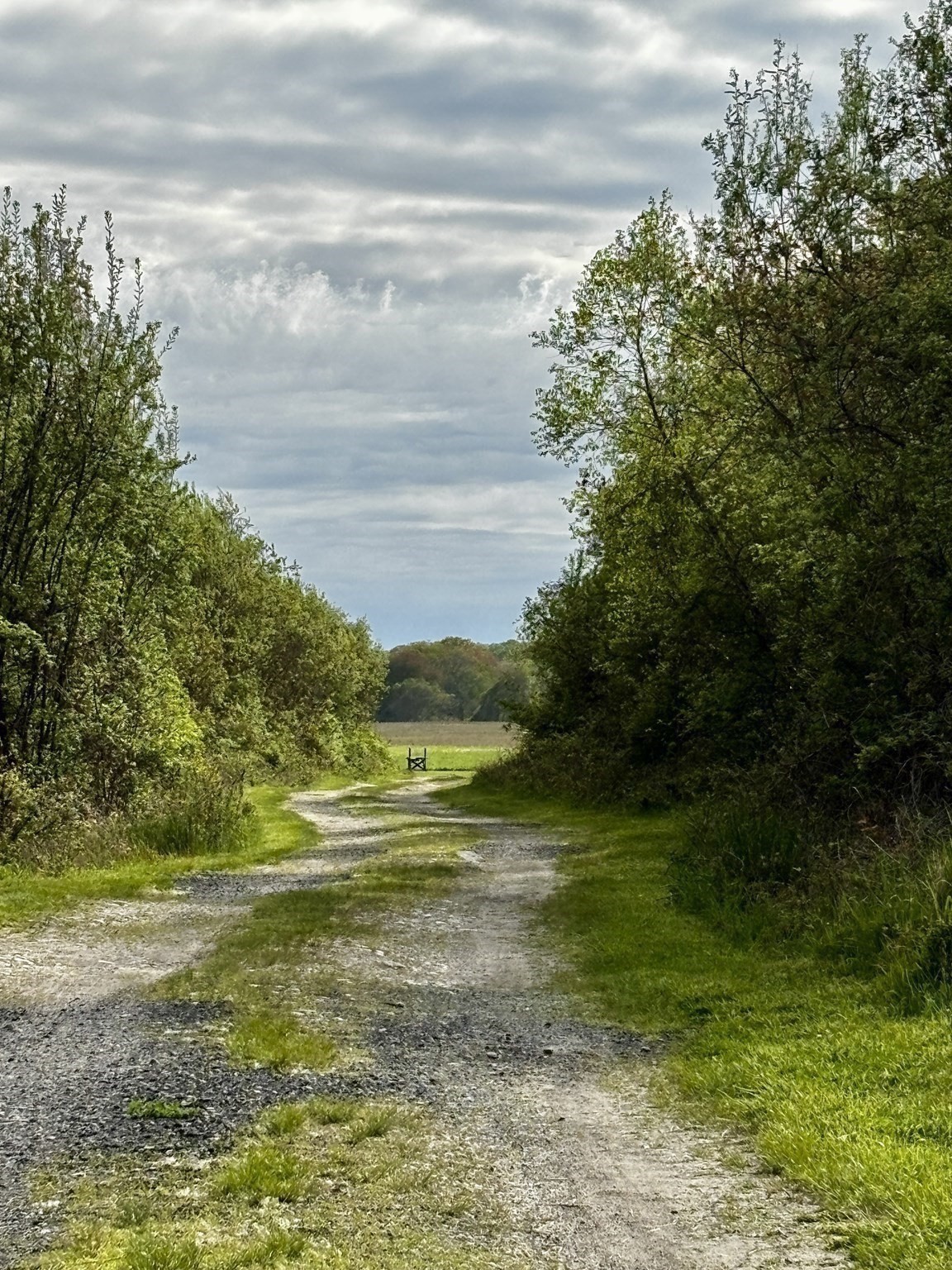 482 Smith Neck Rd, Dartmouth, MA 02748 - Image 5