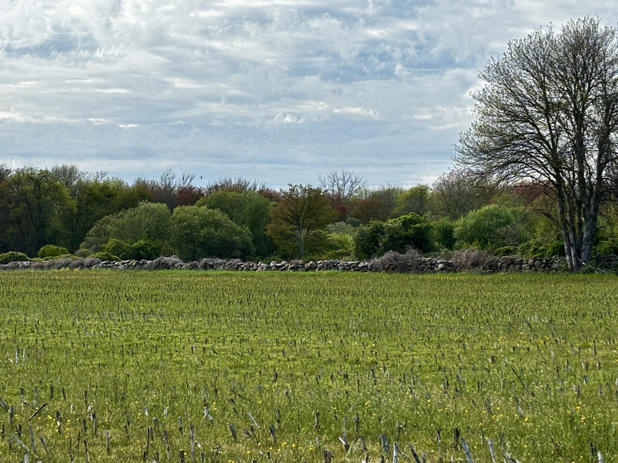 482 Smith Neck Rd, Dartmouth, MA 02748 - Image 8