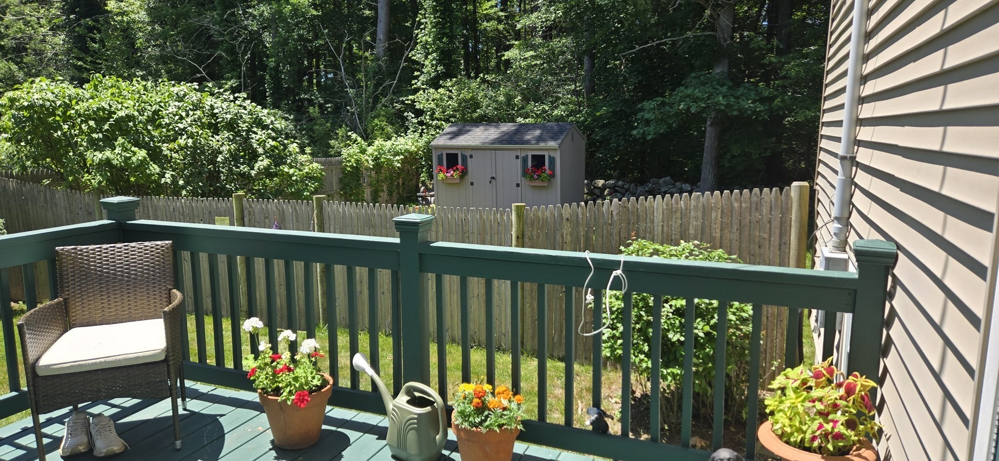 brockton - #73396037