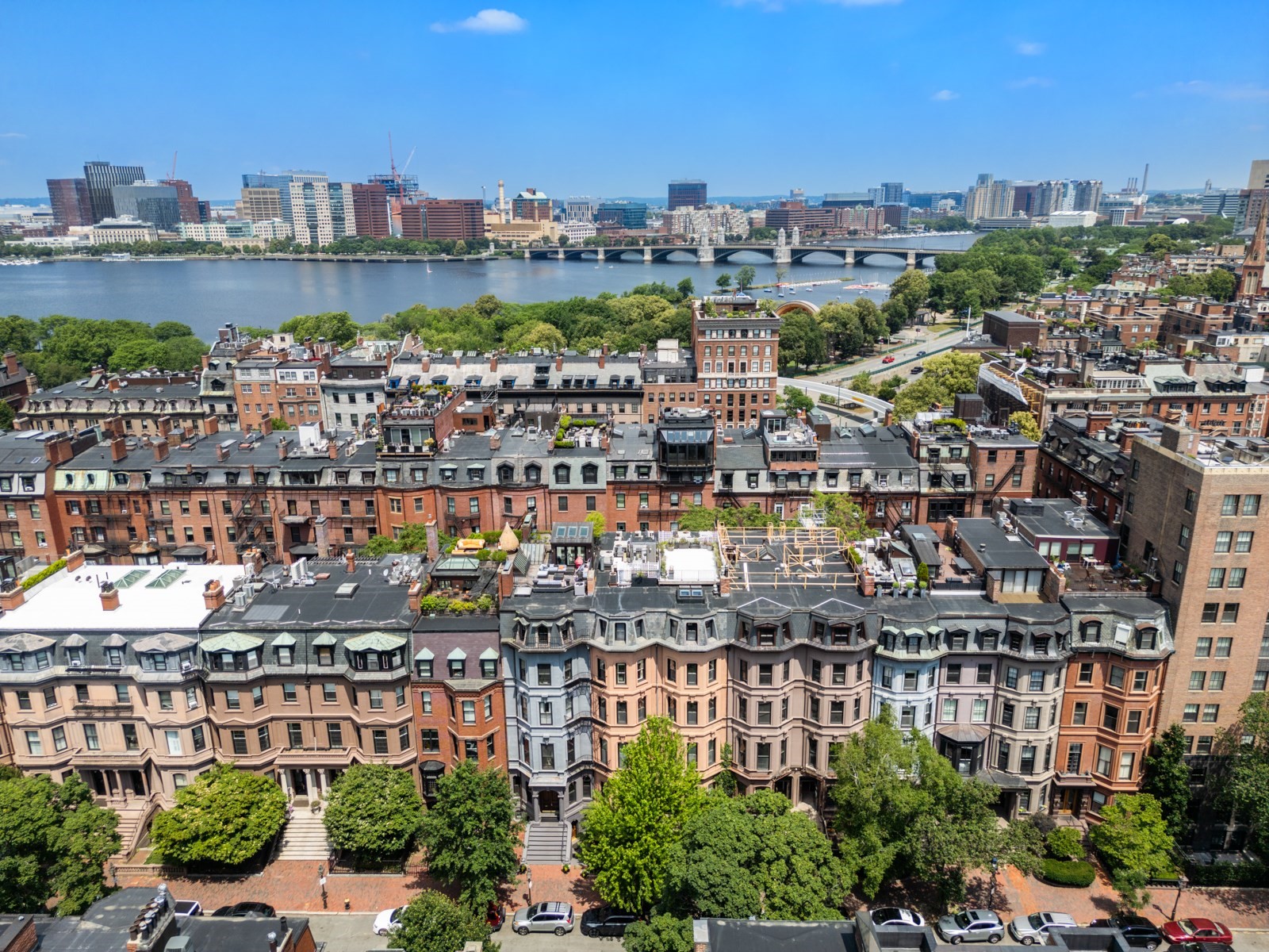 back-bay - #73396273