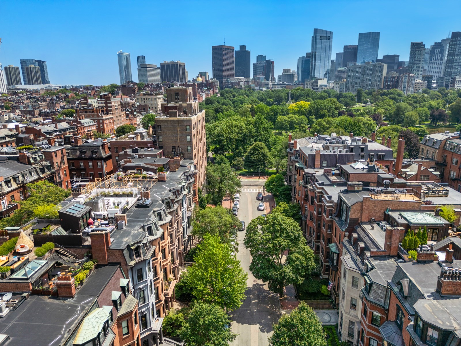 back-bay - #73396273