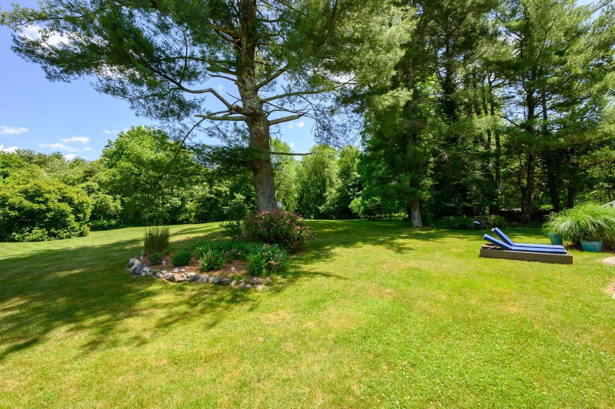 pembroke - #73396277