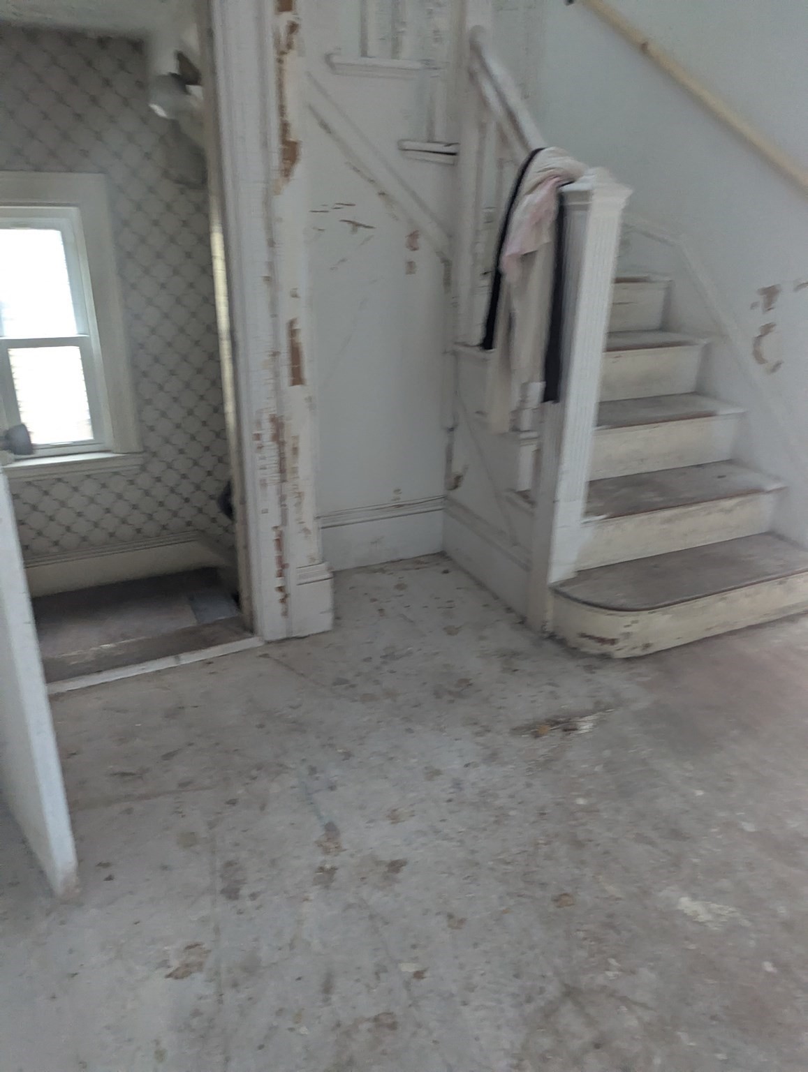 dorchester - #73396500