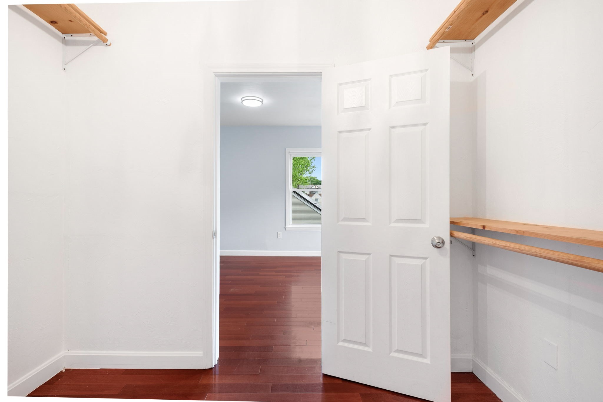 dorchester - #73396650