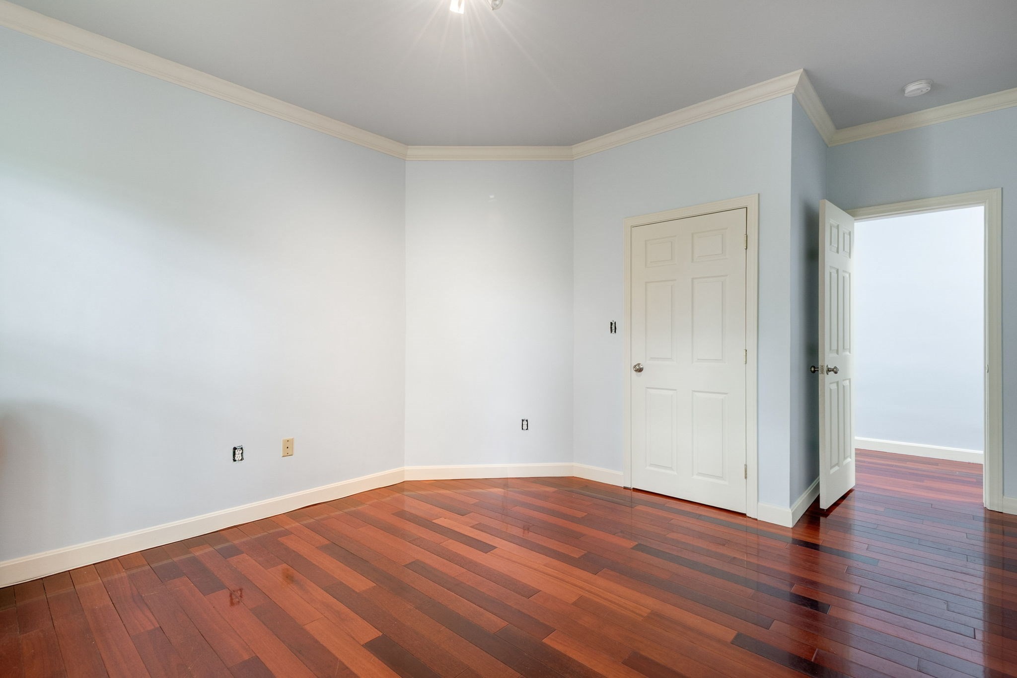 dorchester - #73396650