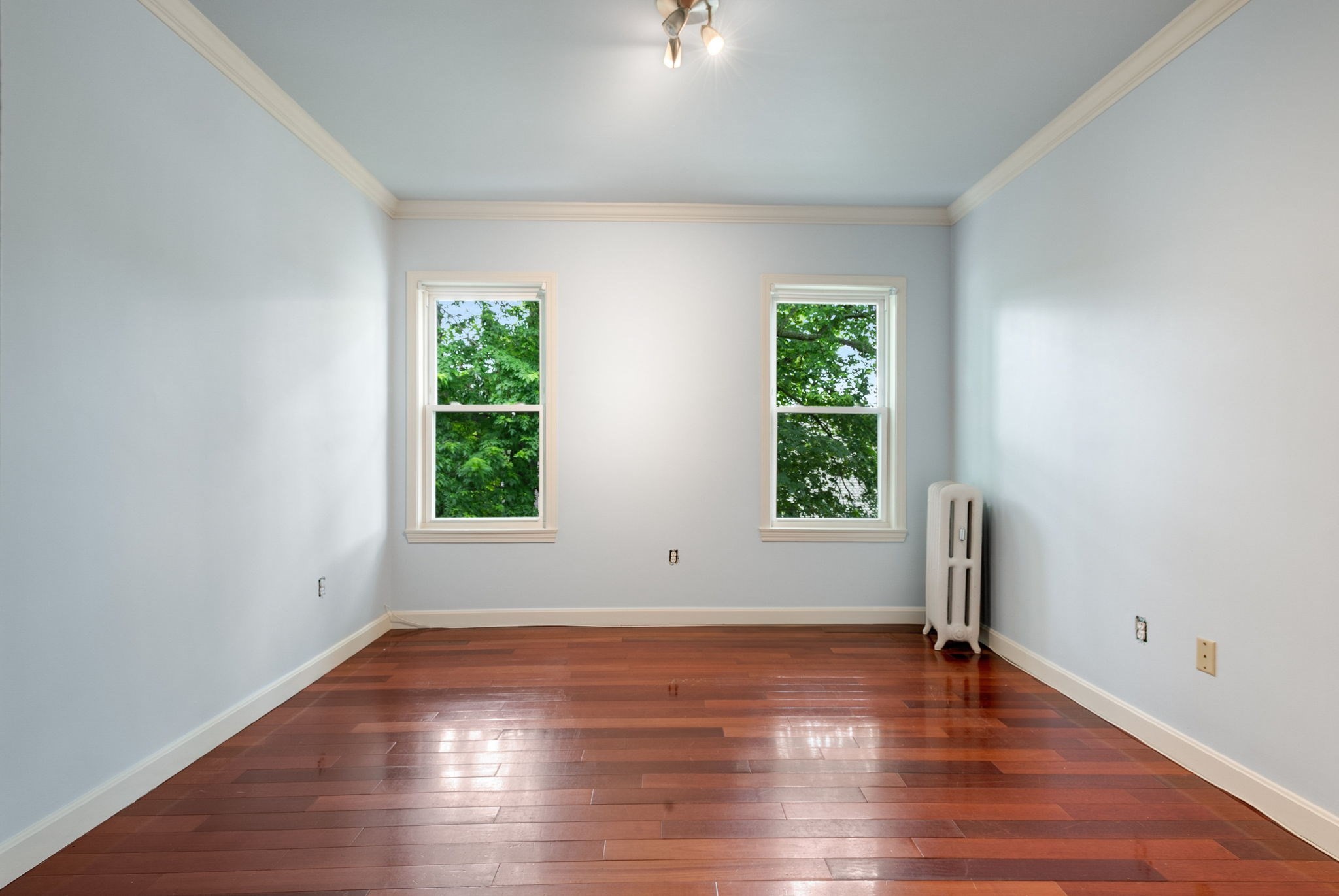 dorchester - #73396650