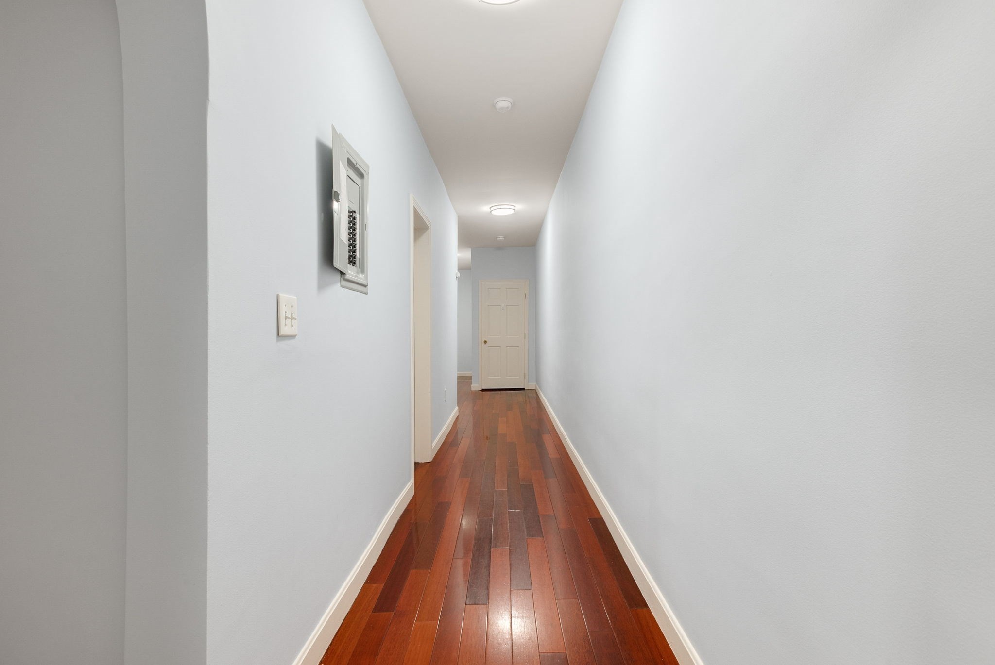 dorchester - #73396650