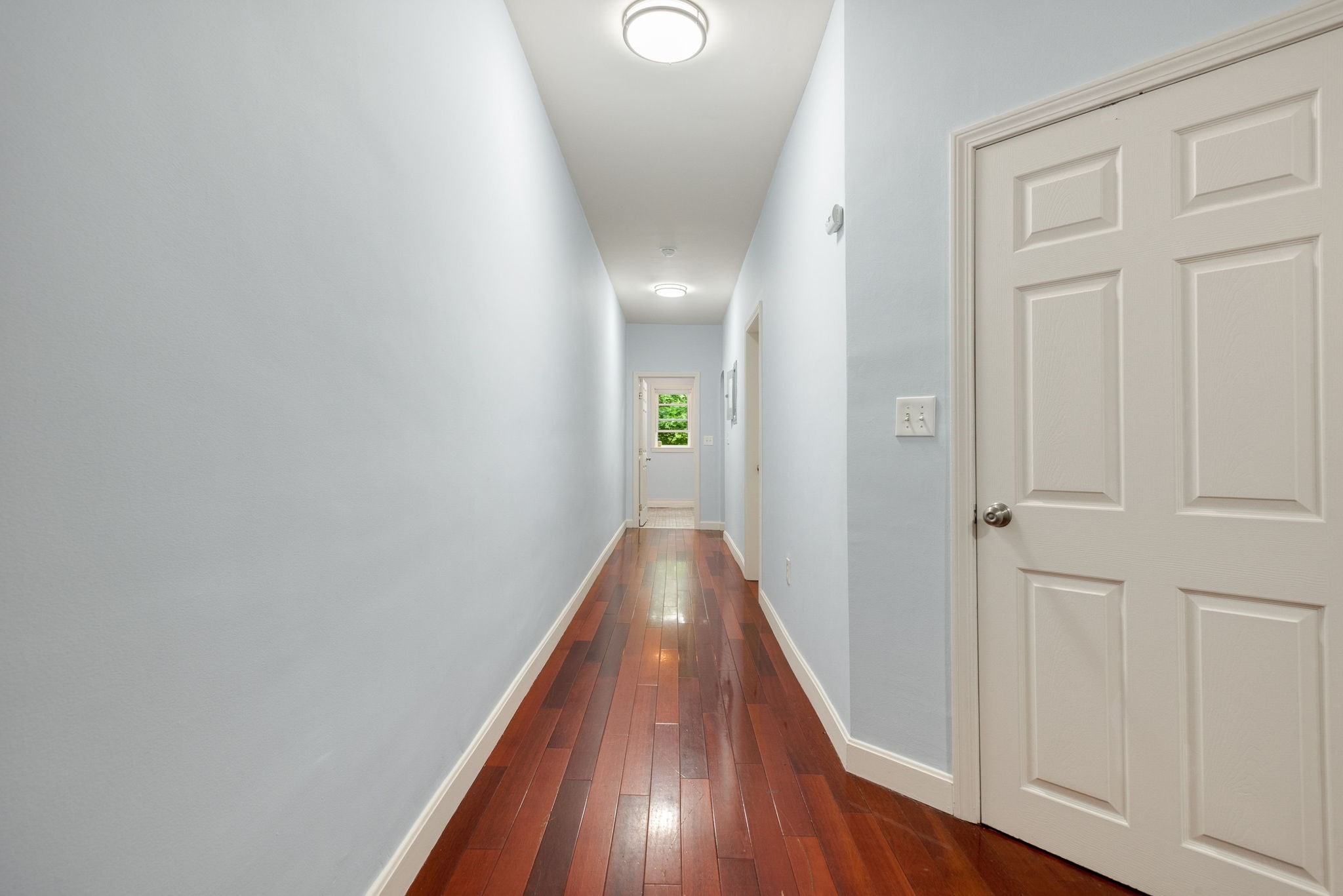 dorchester - #73396650