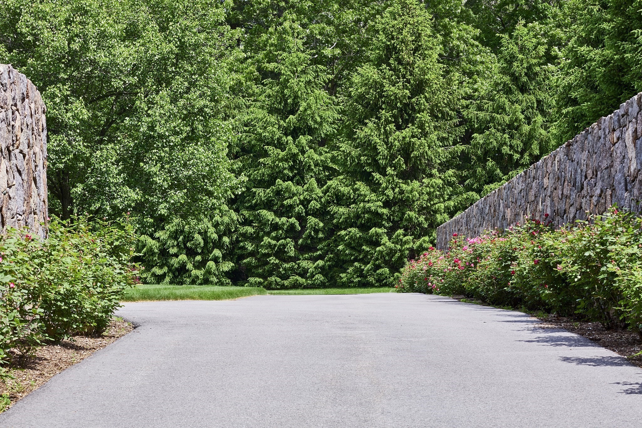 540 Harland St, Milton, MA 02186 - Image 7