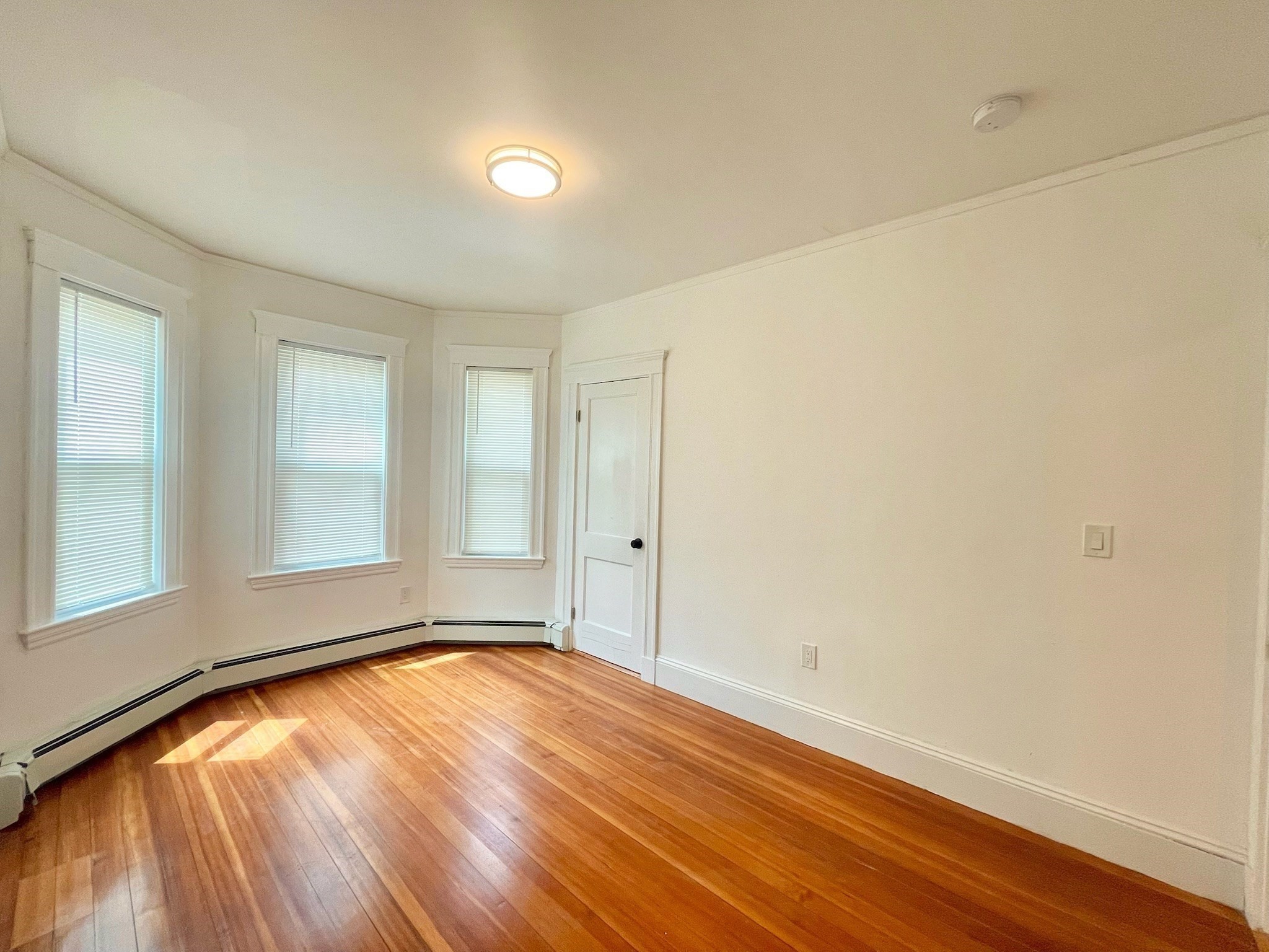 dorchester - #73397249