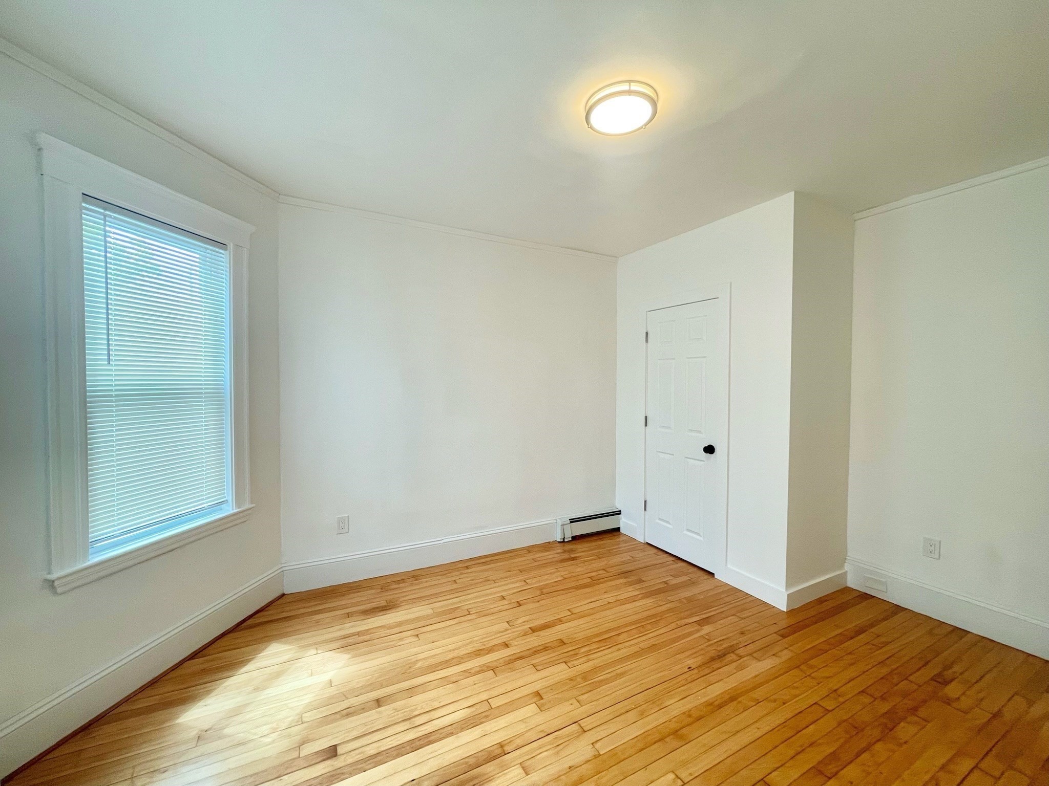 dorchester - #73397249